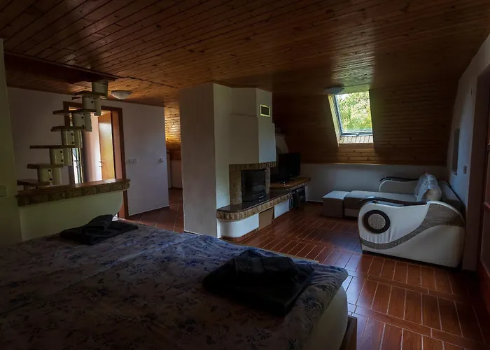 Domacija Marinc شقة *